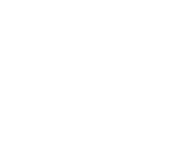 Clean Ocean Access Logo
